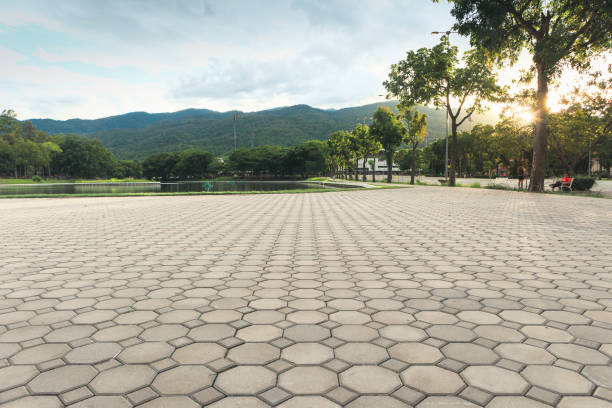Professional Driveway Pavers in Lyons, IL