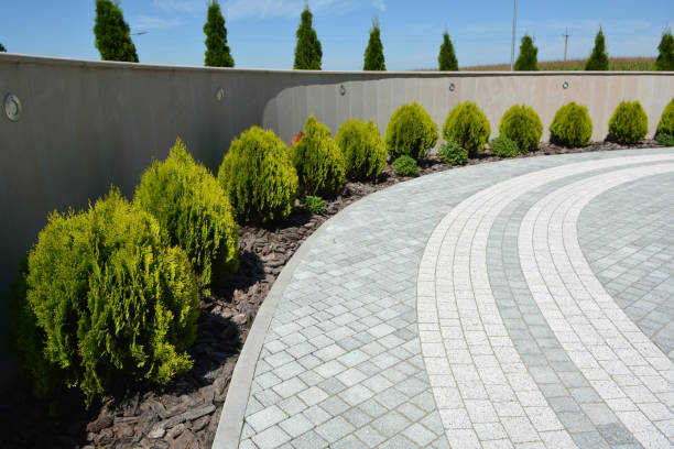Best Brick Driveway Pavers  in Lyons, IL